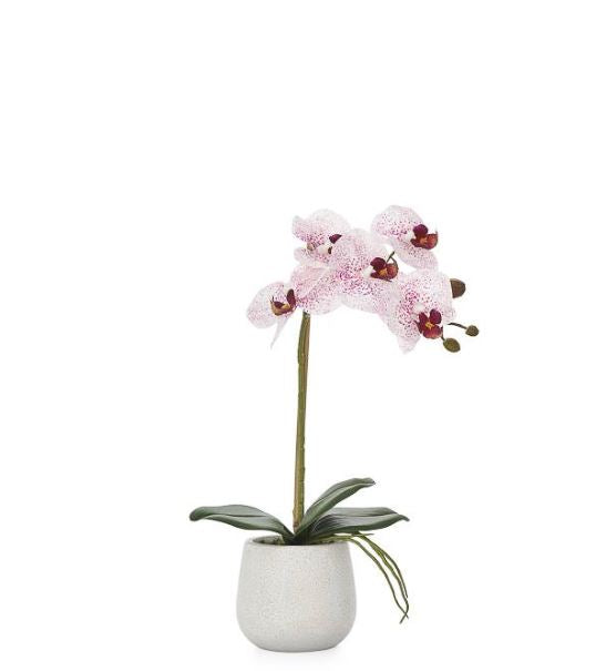 Potted Faux Orchids - Pink (3 Sizes) - NicheDecor