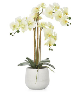 Potted Faux Orchids - Yellow (3 Sizes) - NicheDecor