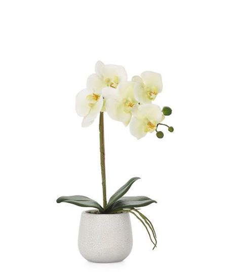 Potted Faux Orchids - Yellow (3 Sizes) - NicheDecor