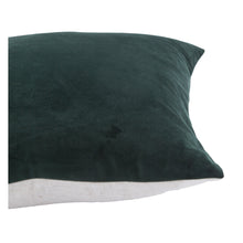 Velvet Pillow (Assorted Colours) - NicheDecor