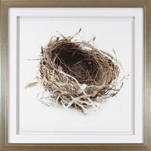 Simply Nests - NicheDecor